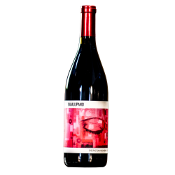 Bajalupano Cabernet Sauvignon